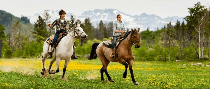 Confident plus-size woman riding Melksham a horse through a field with a smile on her face.